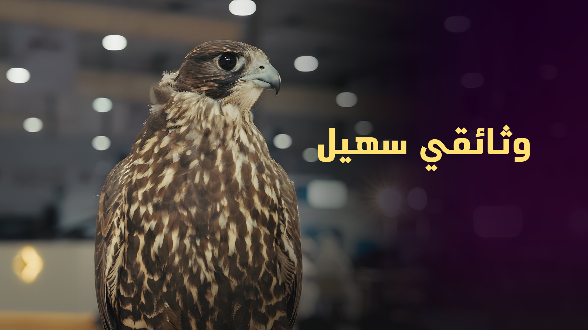وثائقي سهيل